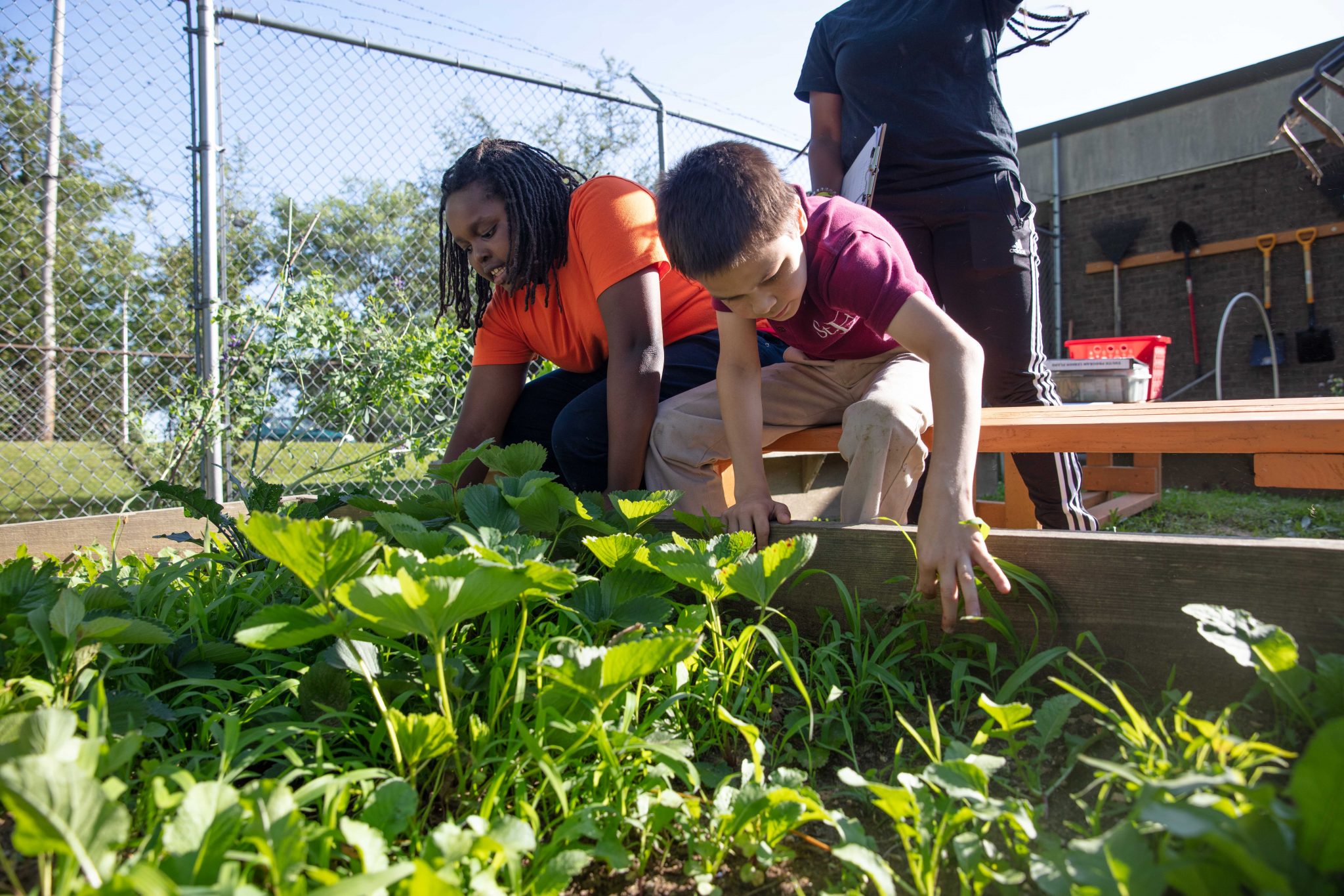 Urban farming project awarded with WhiteReinhardt grant in Delaware