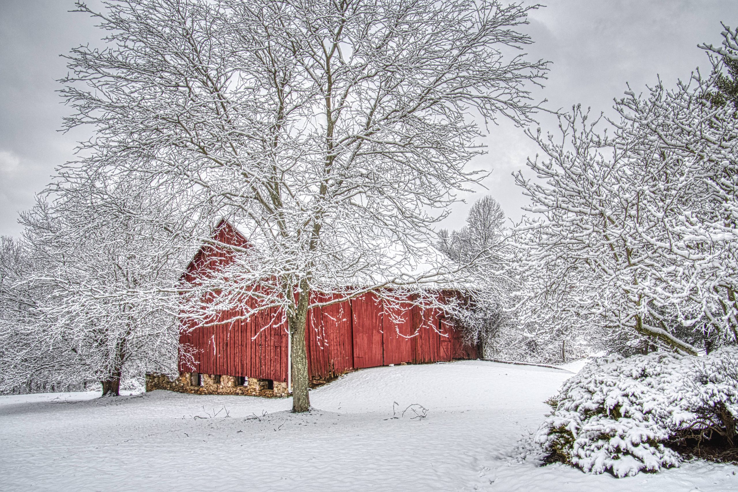 2nd Place - Vincent Kranz