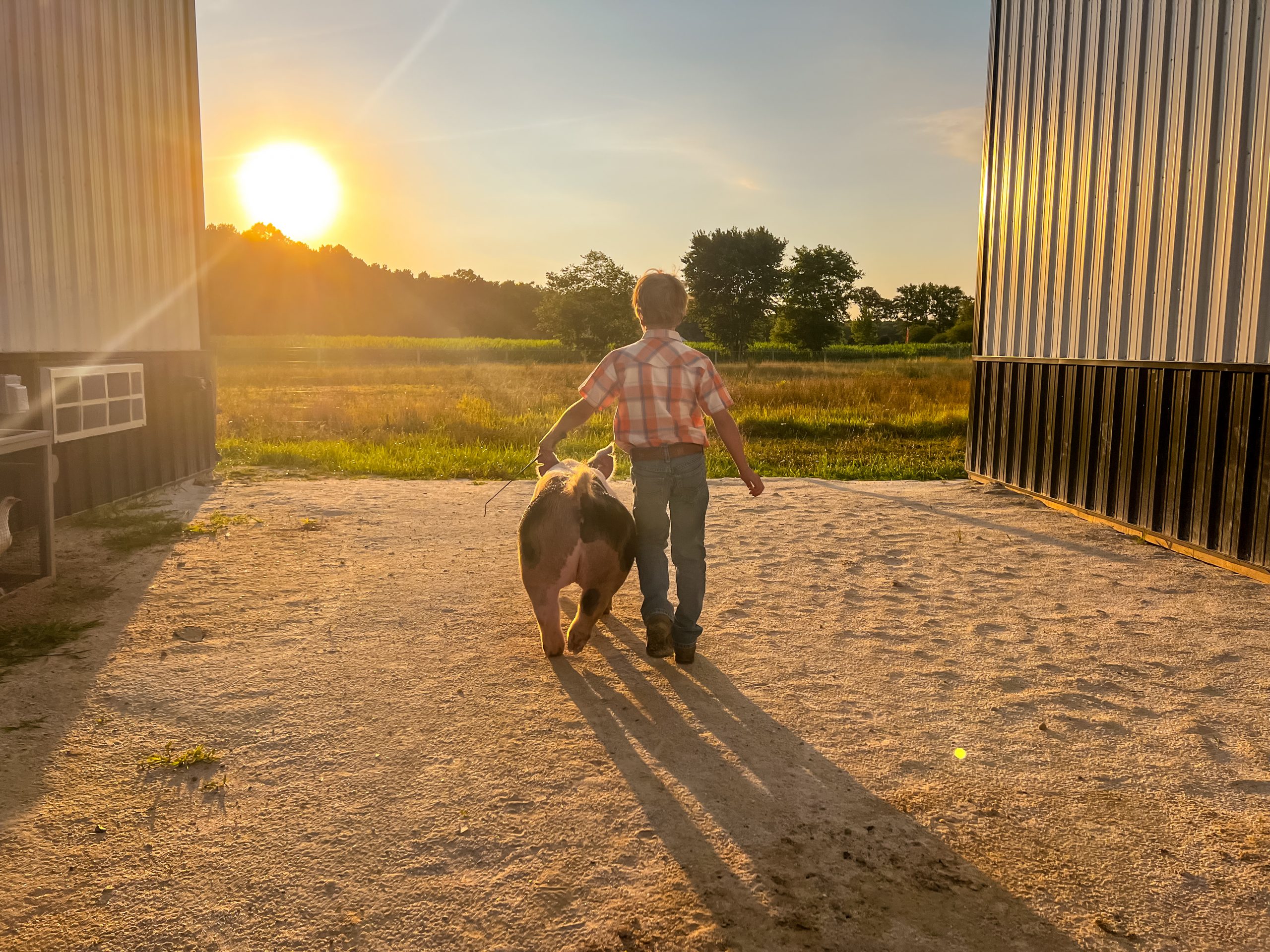 3rd Place - Malory Wood