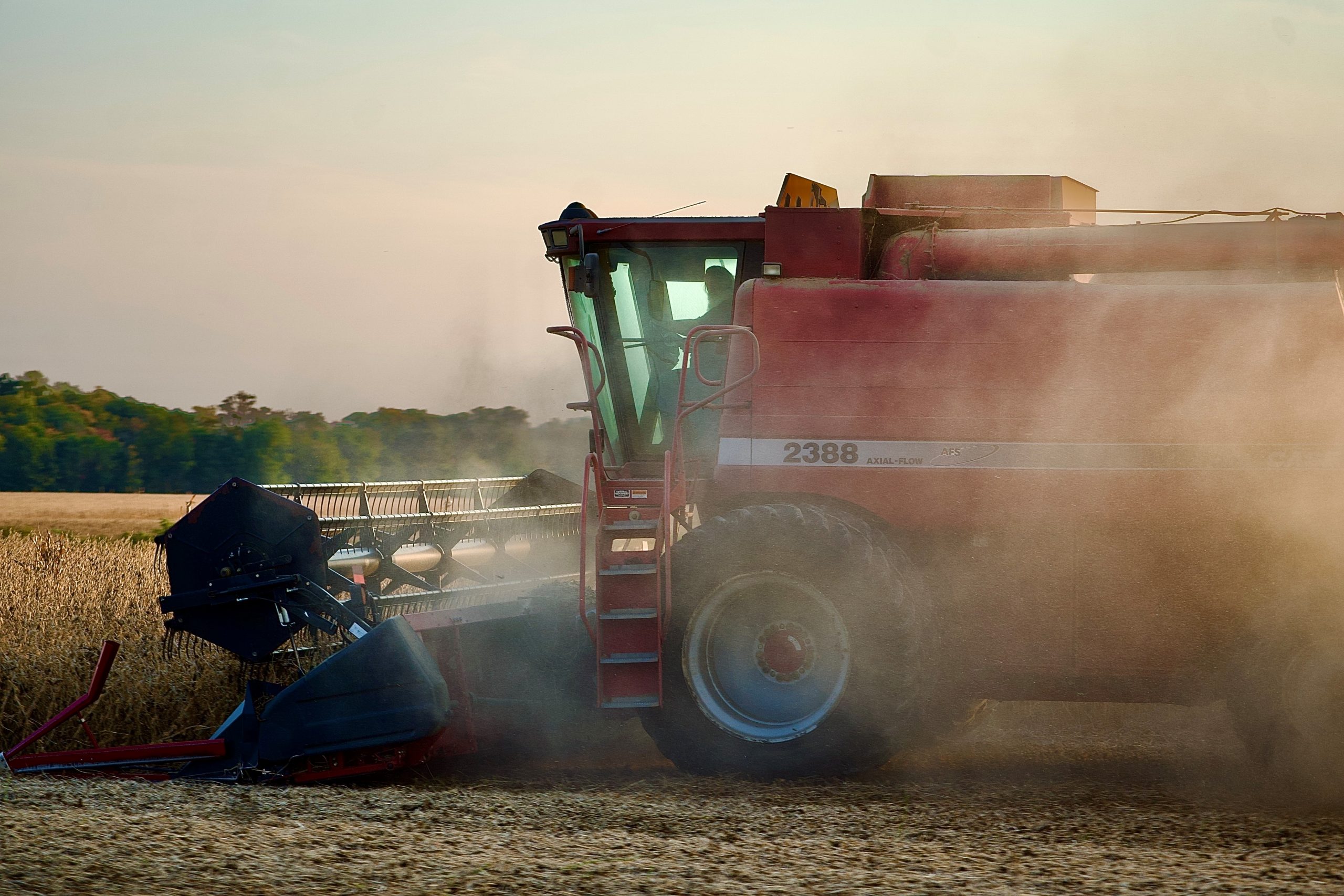 Honorary Mention - April Doyle