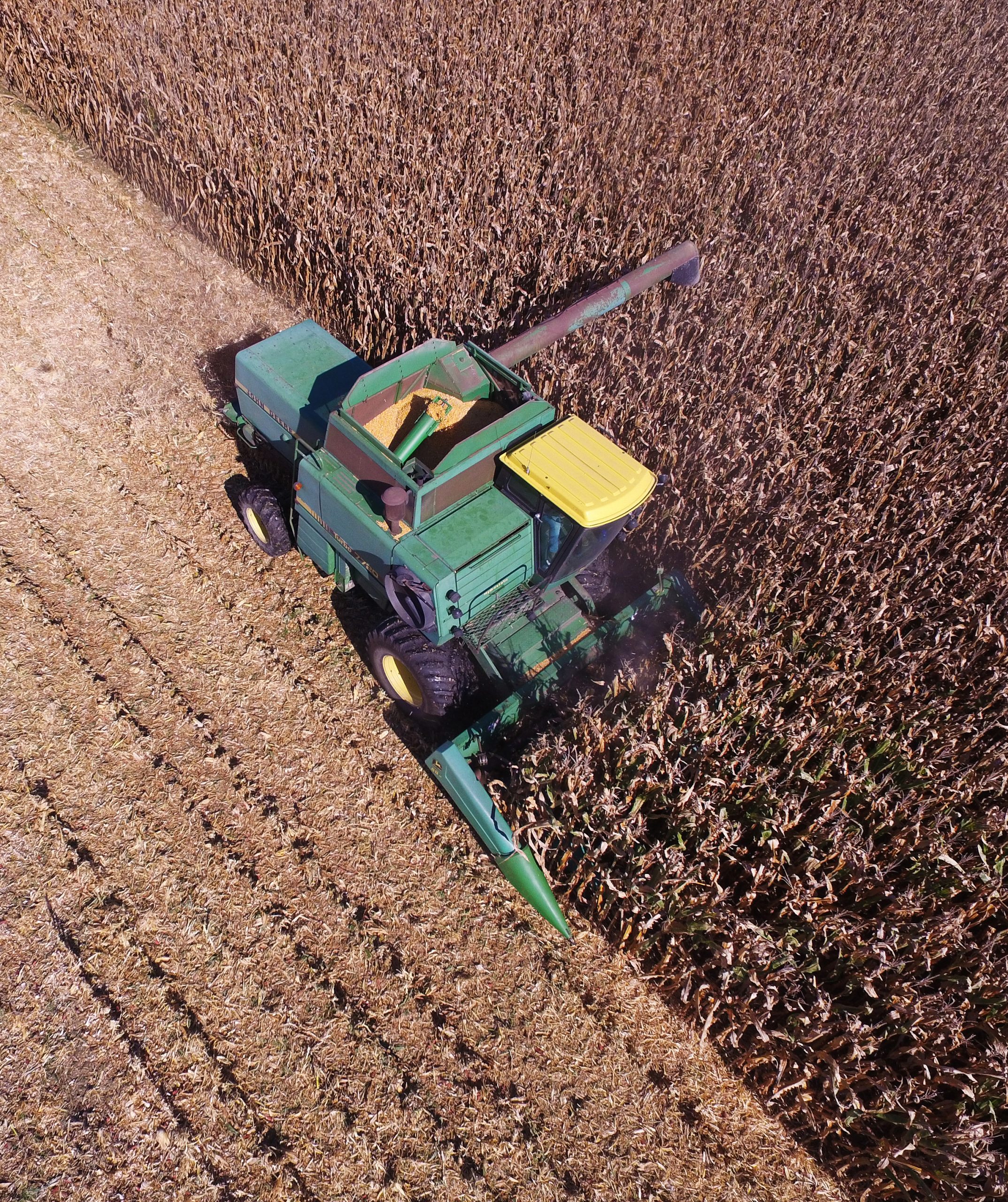 Honorary Mention - Everett Bennett